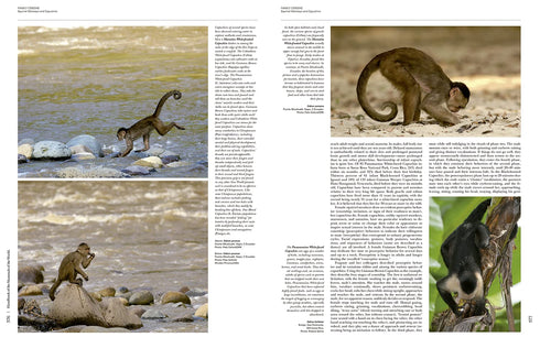 Handbook of the Mammals of the World no 3, Primates - Lynx 2013